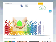 Tablet Screenshot of maisondupatient.com
